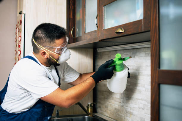 Best Emergency Pest Control  in Paris, TN