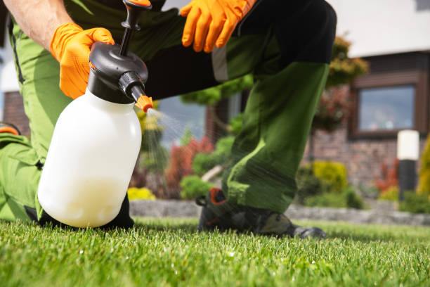 Best Residential Pest Control  in Paris, TN