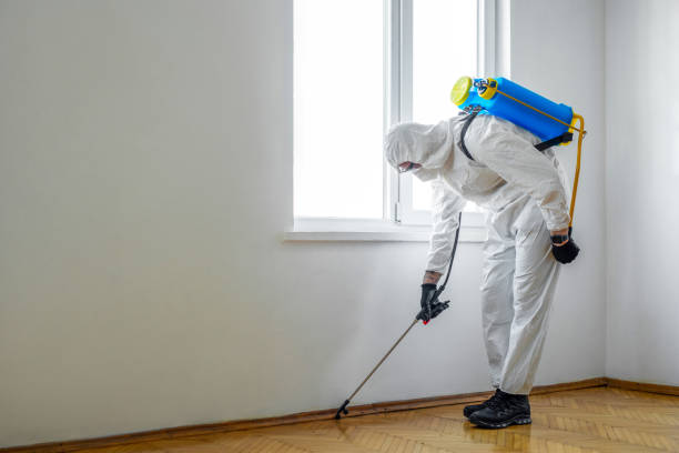 Trusted Paris, TN Pest Control Experts