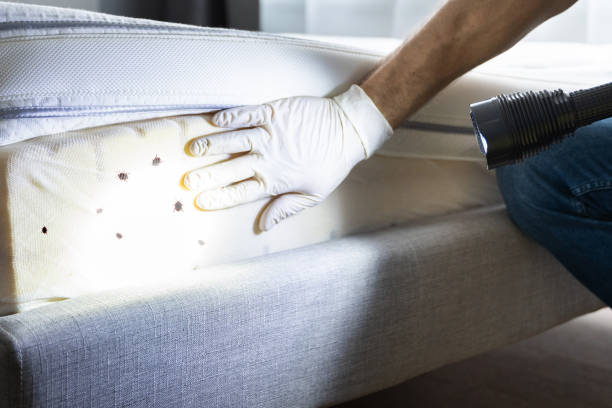 Best Pest Control Near Me  in Paris, TN