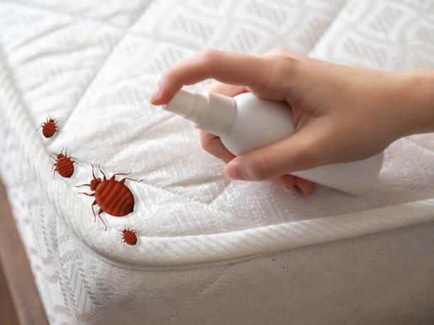 Best Best Pest Control Companies  in Paris, TN