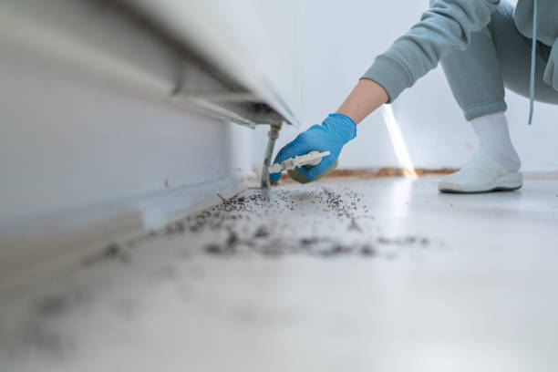 Best Pest Control Cost  in Paris, TN
